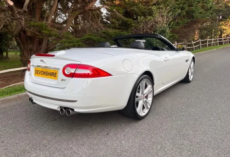 9f59729d-e41d-a373-c6d1-1029777d1b78_infinity.jpg1_