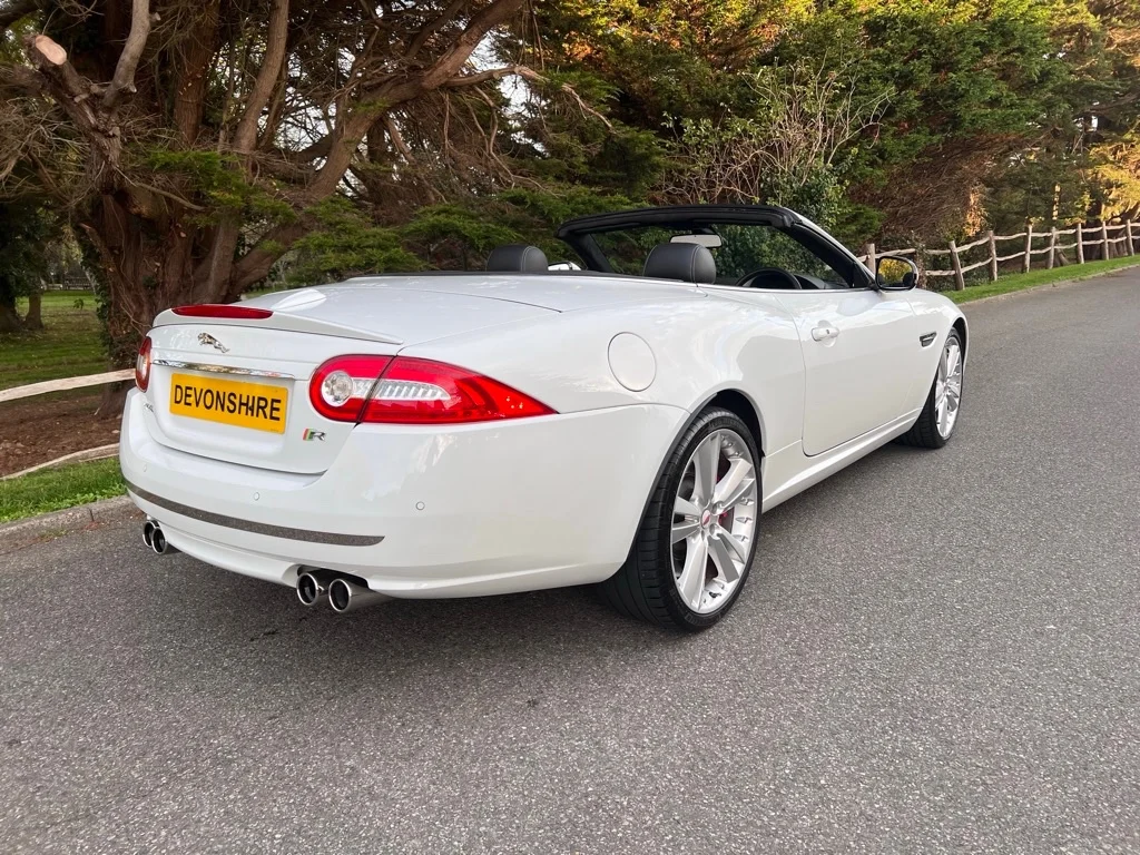 9f59729d-e41d-a373-c6d1-1029777d1b78_infinity.jpg1_